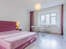 Pronájem bytu 1+1, Praha - Nusle, U Pernštejnských, 29 m2