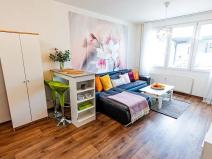 Prodej bytu 2+kk, České Budějovice, Papírenská, 38 m2
