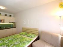 Pronájem bytu 1+kk, Všemina, 24 m2