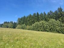 Prodej lesa, Meziměstí, 15962 m2