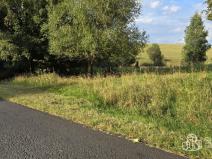 Prodej pozemku, Rovná, 8130 m2