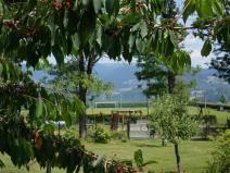 Pronájem bytu 5+kk, Vysoké nad Jizerou, 165 m2