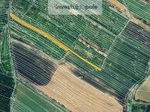 Prodej louky, Klobouky u Brna, 3740 m2