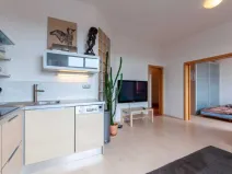 Pronájem bytu 2+kk, Praha - Holešovice, Jateční, 49 m2