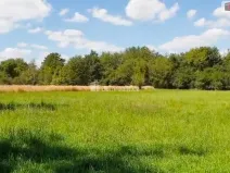 Prodej zahrady, Hranice - Hranice IV-Drahotuše, 1141 m2