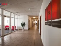 Pronájem kanceláře, Hradec Králové - Slezské Předměstí, Bieblova, 35 m2