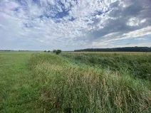 Dražba pole, Lomnice nad Lužnicí, 16506 m2