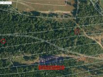 Prodej lesa, Studená - Velký Jeníkov, 7812 m2