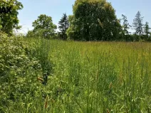 Prodej pozemku pro bydlení, Anenská Studánka, 4273 m2