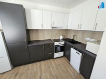 Pronájem bytu 1+1, Holýšov, Pod Makovým vrchem, 40 m2