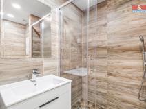 Prodej bytu 2+kk, Teplice - Trnovany, Trnovanská, 43 m2