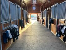 Pronájem zemědělské usedlosti, Sulice, 300 m2