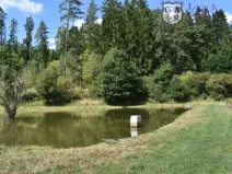 Prodej rybníku, Božetice, 11677 m2