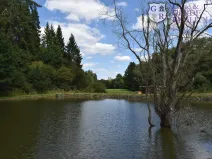 Prodej rybníku, Božetice, 11677 m2