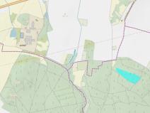 Prodej lesa, Jankovice, 18361 m2