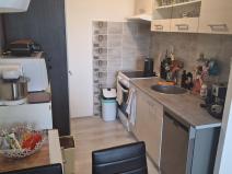 Prodej bytu 2+kk, Teplice - Prosetice, Rovná, 40 m2