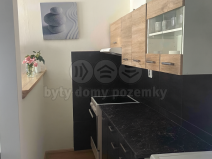 Pronájem bytu 1+kk, Plzeň, Krašovská, 30 m2