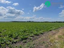 Prodej pole, Prostějov, 13852 m2