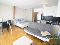 Pronájem bytu 1+kk, Brno, 52 m2