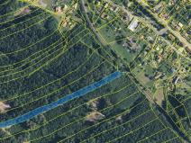 Prodej lesa, Bílá Třemešná, 7940 m2