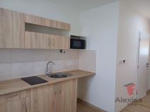 Pronájem bytu 1+kk, Čelákovice - Záluží, Vořechovka, 24 m2