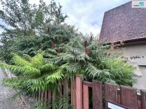 Pronájem chaty, Praha - Radotín, U sanatoria, 140 m2