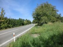 Prodej sadu/vinice, Staré Město, 6975 m2