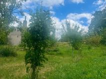 Prodej pozemku pro bydlení, Havlíčkova Borová, 551 m2