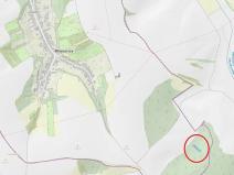 Prodej lesa, Milešovice, 1351 m2