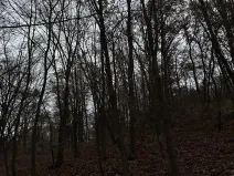 Prodej podílu lesa, Praha, 4596 m2