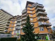 Pronájem garážového stání, Praha - Veleslavín, Křenova, 14 m2