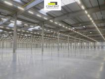 Pronájem výrobních prostor, Údlice, Droužkovická, 15000 m2