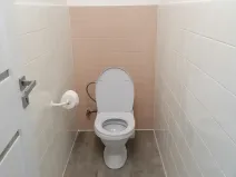 Pronájem bytu 3+kk, Šumice, 100 m2