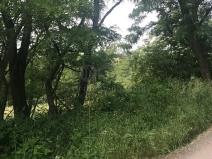 Prodej pozemku pro bydlení, Nebovidy, 2500 m2