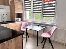 Pronájem bytu 1+1, Sokolov, Švabinského, 40 m2