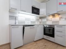 Pronájem bytu 1+kk, Plzeň - Litice, Vysoká, 38 m2
