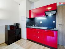 Pronájem bytu 1+kk, Plzeň - Valcha, Špačková, 33 m2