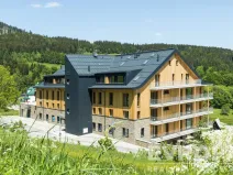 Prodej bytu 2+kk, Janské Lázně, Modrokamenná, 48 m2