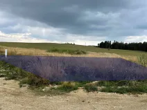 Prodej pozemku pro bydlení, Tachov, Rumplerova, 593 m2