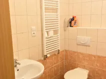 Pronájem bytu 1+kk, Kutná Hora, Tyršova, 42 m2