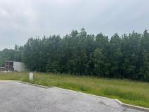 Prodej pozemku, Slavče - Dobrkovská Lhotka, 937 m2