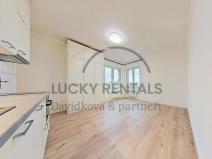 Pronájem bytu 1+kk, Praha - Podolí, Levá, 27 m2
