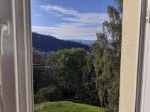 Prodej bytu 1+kk, Ústí nad Labem, Tolstého, 20 m2