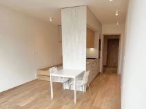 Pronájem bytu 1+kk, Brno, Placzkova, 33 m2