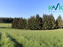 Prodej lesa, Kolová, 8922 m2