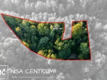 Prodej lesa, Jablonec nad Nisou - Jablonecké Paseky, 5031 m2