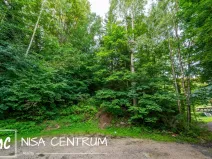 Prodej lesa, Jablonec nad Nisou - Jablonecké Paseky, 5031 m2