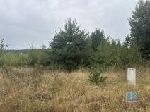 Prodej pozemku pro bydlení, Trnová, 1080 m2