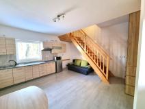 Pronájem rodinného domu, České Budějovice - České Budějovice 2, Husova tř., 53 m2