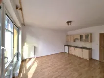 Pronájem bytu 1+kk, České Budějovice - České Budějovice 6, Rudolfovská tř., 28 m2